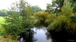 Der Fluß Ilmenau in Walmstorf, Landkreis Uelzen.