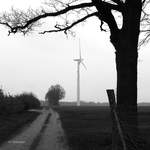 Harber (Lüneburger Heide), Windkraftrad am Dorfrand.