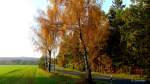 Herbstliche Landschaft bei Bockum, Landkreis Lüneburg.