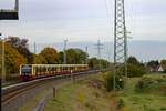 Bis unmittelbar vor den Haltepunkt Wamannsdorf verluft die S-Bahn-Anbindung des Flughafens BER parallel zum Berliner Auenring, dessen Gleise im Hintergrund zu sehen sind.