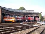 Lokparade am 03.Oktober 2010 am Lokschuppen in der Einsatzstelle Berlin Lichtenberg aus Anlass  175 Jahre deutsche Eisenbahnen .Dabei von links Locon-007,E40 128,MEG-206,233 233,211 001,143 002,362