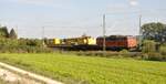 SVG 2143.21 der Staudenbahn mit Bauzug in Neu-Ulm am 15.09.2011.