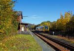 Herbstzeit oder Indian Summer in Herdorf.....