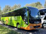 MAN Lion's Coach von FlixBus/Wunder aus Deutschland in Plau am See.