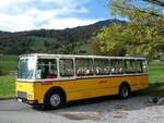 (256'496) - Aus Deutschland: Hahn, Mnchen - M-HH 668H - FBW/FHS (ex Michels, Schmallenberg; ex FRAM Drachten/NL Nr.