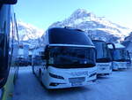 (271'273) - Aus Deutschland: Steger, Pirmasens - PS-P 703 - Neoplan am 18. Januar 2025 in Grindelwald, Grund