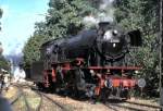23 105 bei der Parade zum 100jährigen Bestehen des Verkehrsmuseums Nürnberg am 16.10.1999.