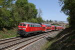 218 433 war am 30. April 2024 bei Pirkensee in Richtung Regensburg unterwegs.