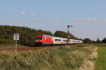 245 024 mit einem  IC  auf dem Weg nach Sylt. Aufgenommen am 15. September 2023 bei Klanxbxll.