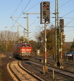 218 344-0 und eine weitere 218 kamen aus Flensburg durch Schleswig gefahren.