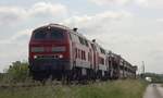 DB 218 345-7 und 321-8 mit SyltShuttle, Lehnshallig 14.06.2020