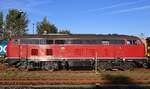 NeSa 218 155-0 REV/HB X/29.03.18, Verl. bis 27.02.2026 in der Morgensonne in Niebüll. 07.09.2025 NeSa 218 155-0 REV/HB X/29.03.18, Verl. bis 27.02.2026 in der Morgensonne in Niebüll. 07.09.2025