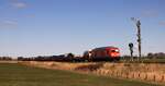 DB 245 025 mit SyltShuttle nach Niebll.