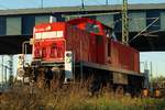 DB 295 090-5 bei Rangierarbeiten im Rbf Hamburg Alte Süderelbe/Waltershof.