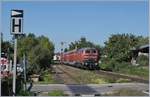 Die DB 218 435-6 erreicht mit einem IRE von Laupheim West nach Lindau den Bahnhof Nonnenhorn.