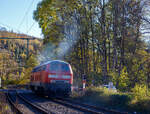 Die 218 191-5 (92 80 1218 191-5 D-MZE) der MZE - Manuel Zimmermann Eisenbahndienstleistungen, Hellenhahn-Schellenberg (Ww), ex DB 218 191-5, fährt am 04 November  2024, als Lz (Lokzug) bzw. auf Tfzf (Triebfahrzeugfahrt), durch den Bahnhof Kirchen(Sieg) in Richtung Betzdorf bzw, Köln,

Die V 164 (BR 218) wurde 1973 bei Krupp unter der Fabriknummer 5205 gebaut und an die DB geliefert, im Juli 2018 wurde sie dann ausgemustert und an Manuel Zimmermann Eisenbahndienstleistungen verkauft.