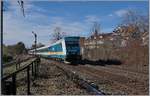 Die 223 065 erreicht mit ihrem Alex Lindau Aeschbach und somit in Kürze ihr Ziel Lindau Hbf.