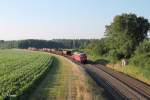 232 359-0 mit dem umgeleiteten 45367 Nrnberg - Cheb in der Kurve bei Oberteich.