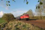 232 654-4 zieht den Containerzug 47396 Cheb - Altenschwand bei Schönfeld.