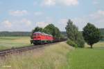 232 703-9 + 233 176 ziehen bei Naabdemenreuth den 45365 NNR - XTCH.