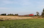 232 909 zieht den 51082 Frankenwald Umleiter bei Waldershof.02.09.16