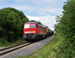 Hin und wieder hat man auch mal das Glück, eine 232 oder 233 an Güterzügen zwischen Mühldorf und München am Tage zu erhaschen.