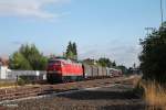 Der Kurze 51683 Zwickau - Nrnberg gezogen von 233 452-2 bei der durchfahrt Wiesau.30.07.13