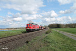 233 093 zieht bei Oberteich den 51717 Nürnberg - Seddin Frankenwald Umleiter.