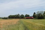 Leider mit Flachwagen-Schaden erwischte ich die 233 698 mit dem Frankenwald Umleiter 51081 LE - NNR bei Waldershof.