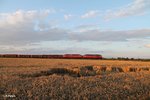 233 306 + 233 322 ziehen mit dem 45366 XTCH - NNR bei Oberteich vorbei.