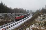 233 510-7 zieht den Elbtal-Umleiter GA52324 Skoda Autozug nach Osnabrück kurz vor Wiesau/Oberpfalz.