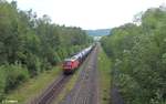 233 510-7 zieht den EZ 51717 DZW - NNR bei Immenreuth.