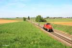 294 624-2 als Lz gen Plattling bei Taimering.