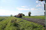 294 598-8 zieht bei Pölling die Übergabe aus Neumarkt/Oberpfalz nach Nürnberg. 20.05.2