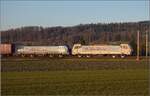 186 909 der Ralpin und 193 529 der SBBCI in Hendschiken.