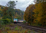 Die an die Crossrail Benelux N.V. (100% Tochterder BLS Cargo AG) vermietete E 186 220 (91 88 7186 211-9 B-ATLU) der Alpha Trains Belgium, ex COBRA 2819 (91 88 7186 211-9 B-B), fährt am 09 Oktober 2025 mit einem geschlossen Doppelstock- Autotransportzug der ARS Altmann AG (mit Wagen der Gattung Hccrrs), durch Kirchen/Sieg in Richtung Siegen.
Die Bombardier TRAXX F140 MS wurde 2008 von Bombardier Transportation in Kassel unter der Fabriknummer 34398 gebaut. Die Multisystemlokomotive hat die Zulassungen bzw. besitzt die Länderpakete für Deutschland, Österreich, die Niederlande und Belgien. (D/A/NL/B). In Deutschland, der Niederlande und in Belgien ist sie für eine Höchstgeschwindigkeit von 160 km/h zugelassen, in Österreich nur für 140 km/h. Die an die Crossrail Benelux N.V. (100% Tochterder BLS Cargo AG) vermietete E 186 220 (91 88 7186 211-9 B-ATLU) der Alpha Trains Belgium, ex COBRA 2819 (91 88 7186 211-9 B-B), fährt am 09 Oktober 2025 mit einem geschlossen Doppelstock- Autotransportzug der ARS Altmann AG (mit Wagen der Gattung Hccrrs), durch Kirchen/Sieg in Richtung Siegen.
Die Bombardier TRAXX F140 MS wurde 2008 von Bombardier Transportation in Kassel unter der Fabriknummer 34398 gebaut. Die Multisystemlokomotive hat die Zulassungen bzw. besitzt die Länderpakete für Deutschland, Österreich, die Niederlande und Belgien. (D/A/NL/B). In Deutschland, der Niederlande und in Belgien ist sie für eine Höchstgeschwindigkeit von 160 km/h zugelassen, in Österreich nur für 140 km/h.