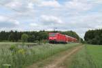 143 238 schiebt ihre RB 75 nach Aschaffenburg bei der Stromkreistrennstelle Bischofsheim.