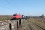 145 060-0 mit Containerzug bei Oestrich - Winkel.