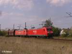 145 020-4 + 009 fahren bei Wiesenau in den Werksbahnhof Ziltendorf ein.