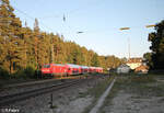 146 245-6 mit dem RE50 4860 München - Nürnberg bei Ochenbruck. 15.09.23