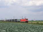 185 342-2 zieht bei Stephansposching ein Containerzug in Richtung Passau.