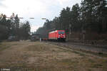 185 315-9 mit einem Containerzug in Ochenbruck gen Süden.