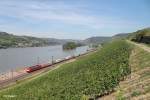 Latz 189 068 mit einem Containerzug bei Lorch am Rhein.