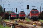 Drei auf einen Streich!!Am 20.08.2010 zeigen sich in Rostock-Seehafen die 155 013,033 und 239.