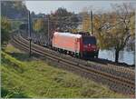 Die DB 185 137-7 ist mit dem Noveliszug bei Gegenlicht zwischen Villeneuve und Veytaux Chillon auf dem Weg nach Göttingen. 

14. Nov. 2024