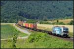 193 806  Wer versichert eigentlich die Eisenbahn  der EVB mit Containerzug am 10.07.13 bei Harrbach