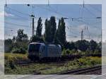 Meine erste Vectron     193 803-4 fuhr am 21.08.2013 mit Schwellenzug von Spitzke in Halle auf die KBS 250.