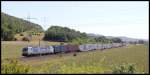 193 843 mit Containerzug am 05.08.15 bei Harrbach