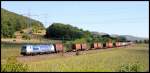 193 880 mit Containerzug am 05.08.15 bei Harrbach