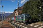 Gleich zwei SBB Cargo Internationl Re 193 ziehen bei Premosello Chiavendo einen Güterzug Richtung Süden.